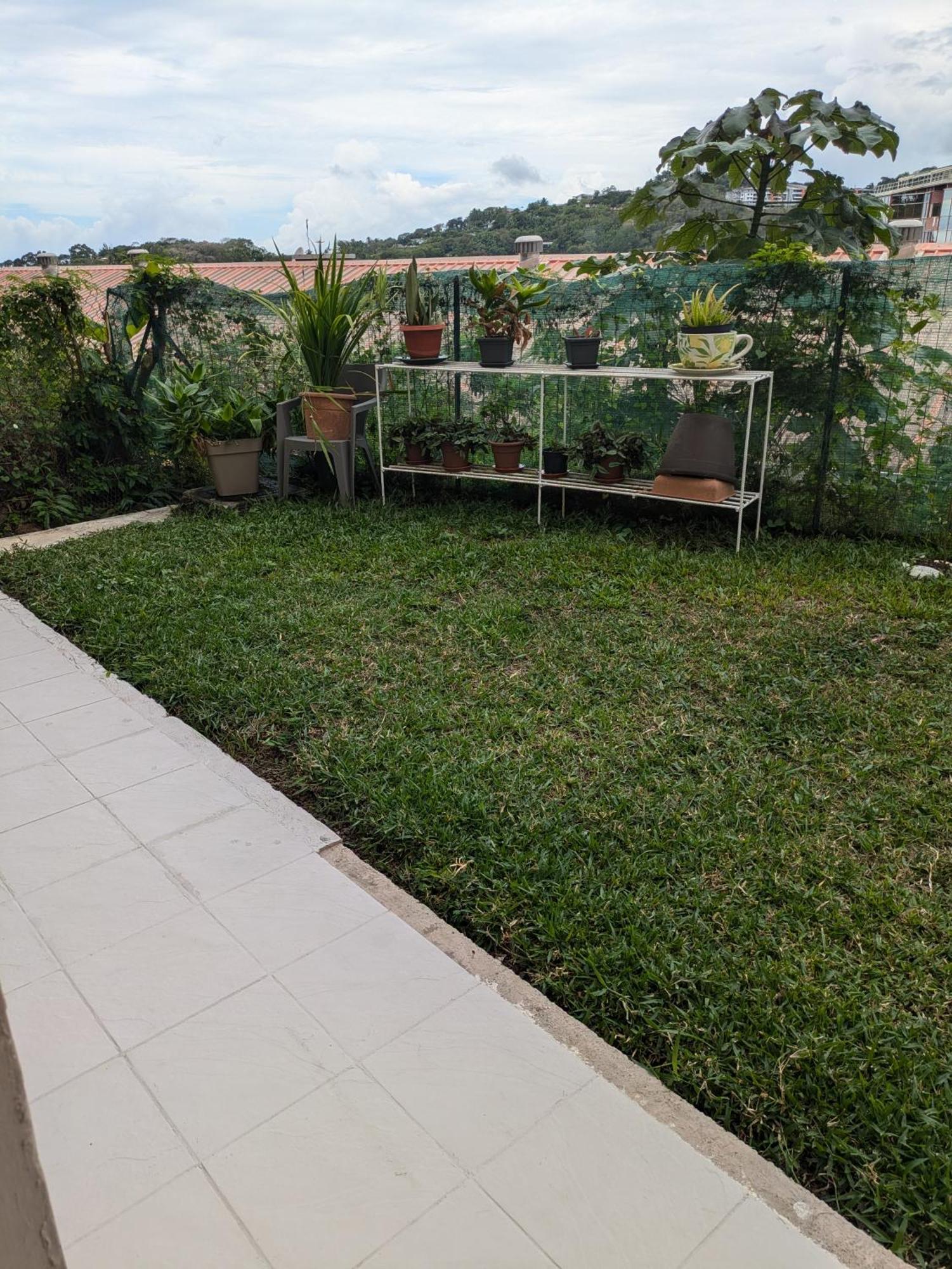 N'Jok Papeete Apartment Papeete  Ngoại thất bức ảnh